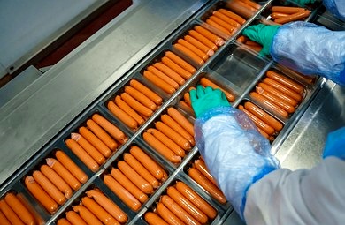 Sausages on a meat factory packaging line