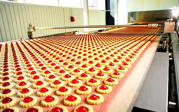 Jam-filled biscuits on a factory production conveyor